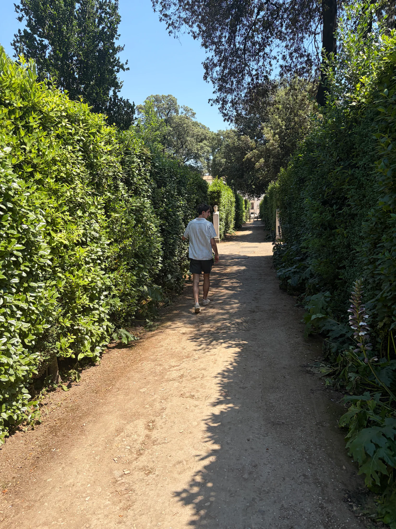 A garden path in soft light